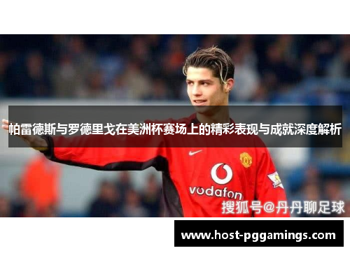 帕雷德斯与罗德里戈在美洲杯赛场上的精彩表现与成就深度解析