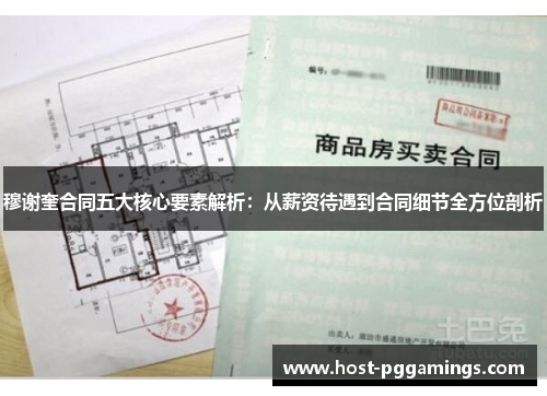 穆谢奎合同五大核心要素解析：从薪资待遇到合同细节全方位剖析
