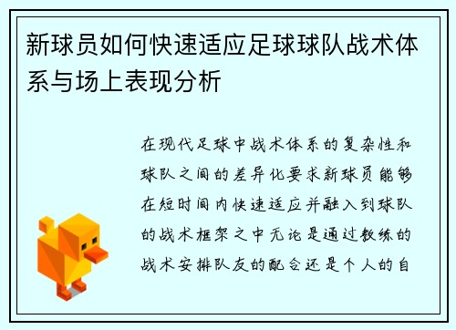 新球员如何快速适应足球球队战术体系与场上表现分析